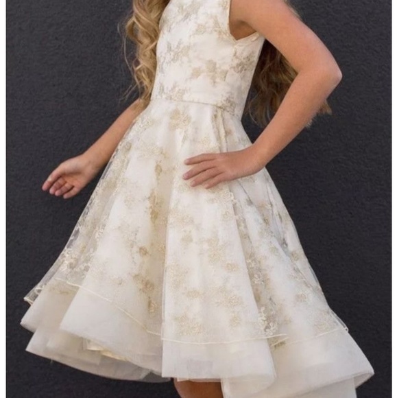 joyfolie jacqueline dress